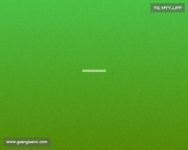 著名职业拳击赛事、职业拳击冠军